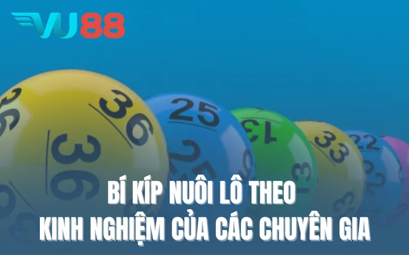 Bí kíp nuôi lô theo kinh nghiệm của các chuyên gia