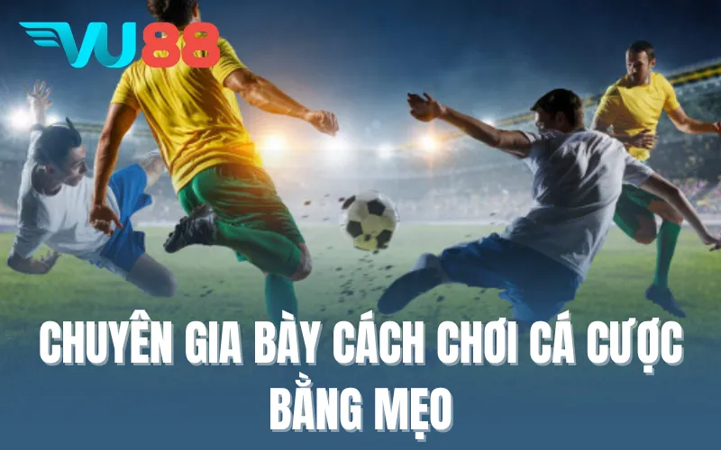 Chuyên gia bày cách chơi cá cược bằng mẹo